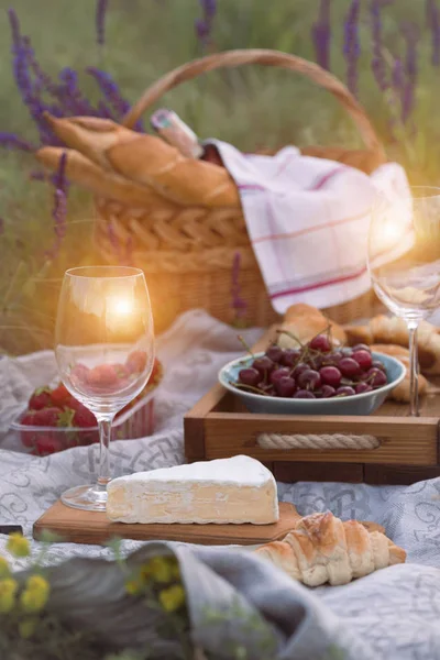 Picknick i ängen — Stockfoto