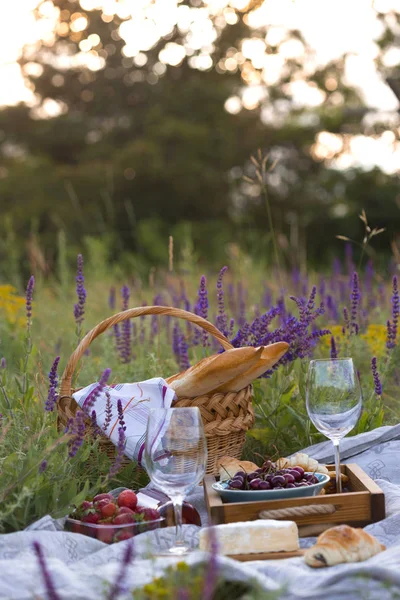 Picknick i ängen — Stockfoto