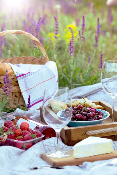stock image Picnic in the meadow 