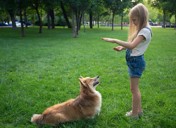 女の子が犬を訓練します。 — ストック写真