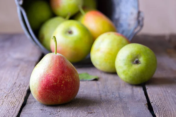 Peren een een — Stockfoto