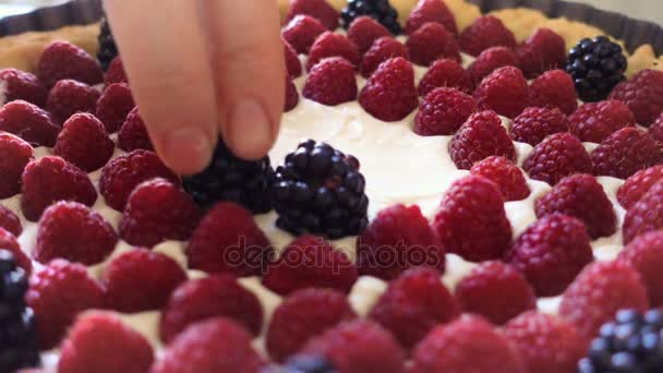 Rukou ženy dělat berry dort s malinami a ostružinami — Stock video