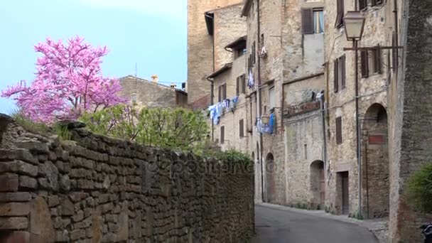Vista de rua italiana velha vazia de cidade pequena — Vídeo de Stock