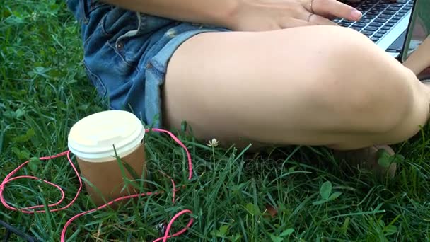 Девушка с ноутбуком сидит на траве — стоковое видео