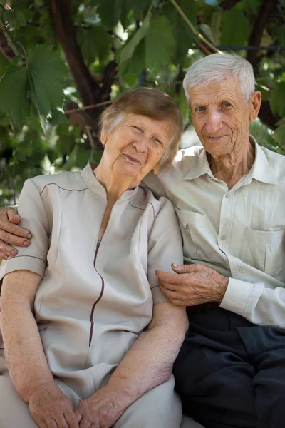 Retrato de avós — Fotografia de Stock