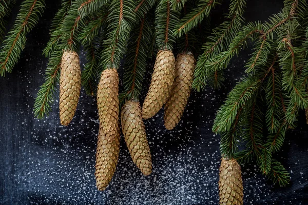 Chalkboard and branches of fir with cones — Stock Photo, Image