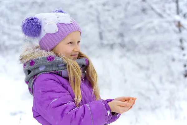 Bambina in una passeggiata invernale in una giornata innevata — Foto Stock