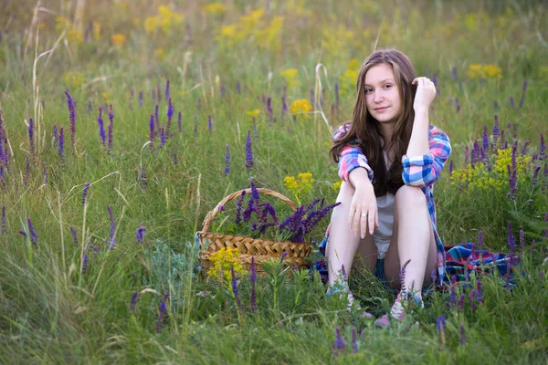 Menina bonita no prado — Fotografia de Stock