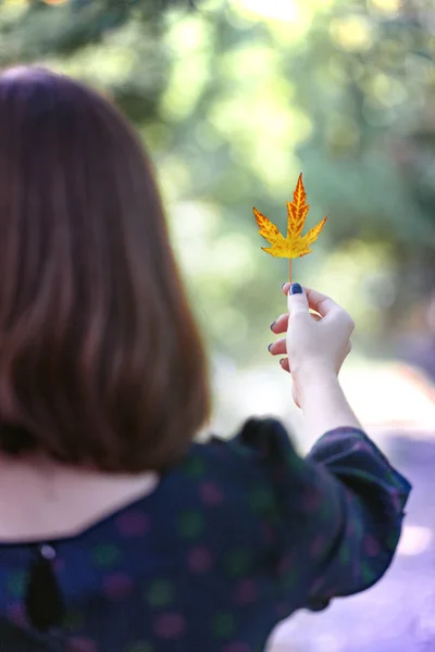 Girl holds a yellow leaf — Stock Photo, Image