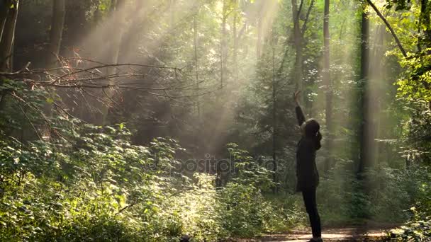Девушка, стоящая у утреннего леса после дождя — стоковое видео