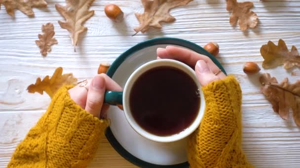 Manos de mujer con la taza de té — Vídeos de Stock