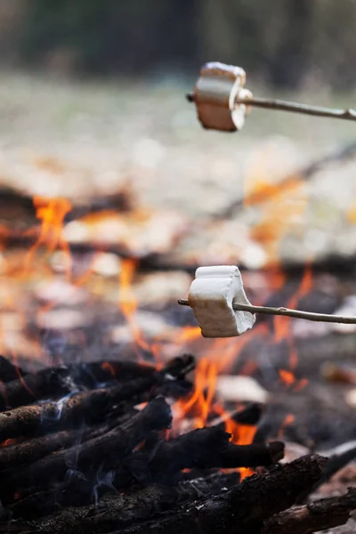 Marshmallow na fogueira — Fotografia de Stock