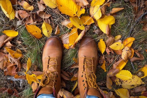 Stivali su uno sfondo di foglie di autunno — Foto Stock
