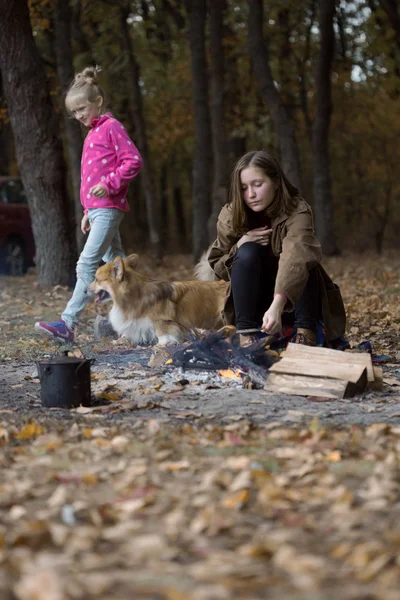 Adolescente chica en picnic — Foto de Stock