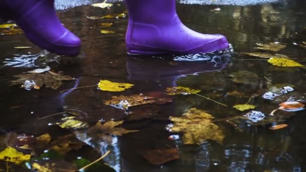 Rainboots på pöl — Stockvideo