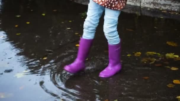 Regenstiefel an der Pfütze — Stockvideo