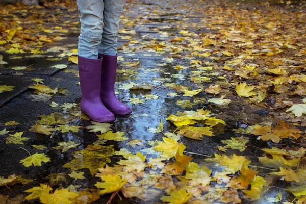 Autumn mood and girl — Stock Photo, Image