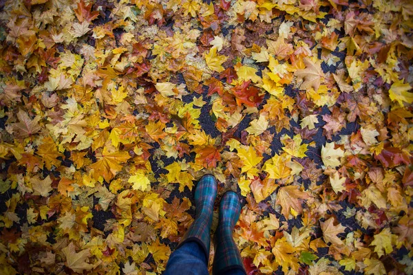 Herbststimmung und Mädchen — Stockfoto