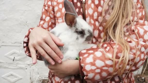 Dítě dívka v její ruce drží králík — Stock video