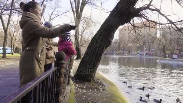 Kinder füttern Enten im Herbstpark — Stockvideo