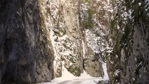 Road at the rocky canyon of park Piatra Craiului — Stock Video