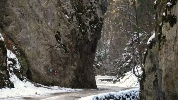 Дорога в скалистом каньоне парка Piatra Craiului — стоковое видео