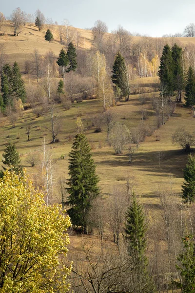 Arbres d'automne sur une colline de montagne et une cabane en bois — Photo