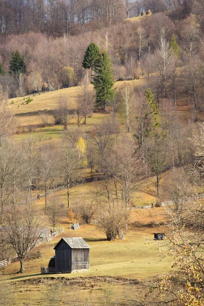 Arbres d'automne sur une colline de montagne et une cabane en bois — Photo