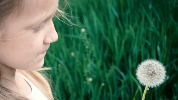 Μικρό Κορίτσι Φυσάει Πικραλίδα Λουλούδια Για Ένα Πράσινο Γκαζόν — Αρχείο Βίντεο