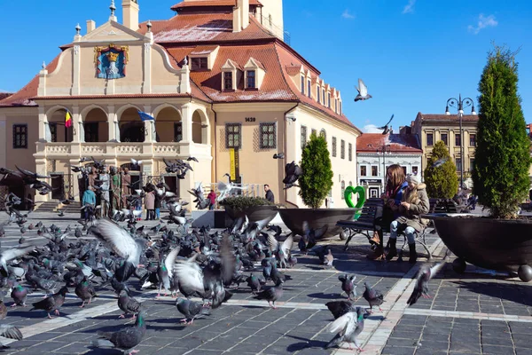 Braso 루마니아어 도시의 주요 광장에 비둘기를 먹이 아이 들 — 스톡 사진