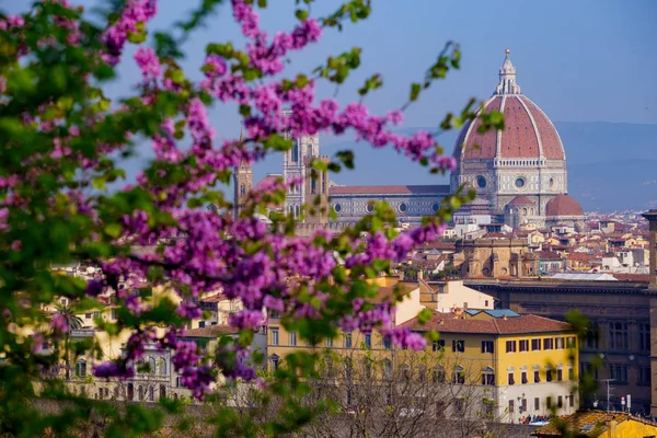 Vista de Florencia — Foto de Stock