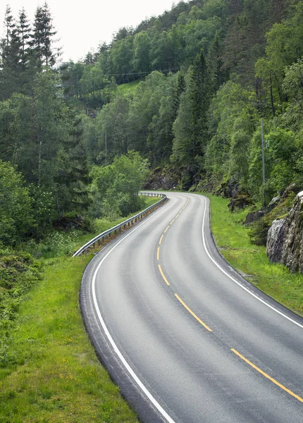 Strada forestale tortuosa vuota — Foto Stock