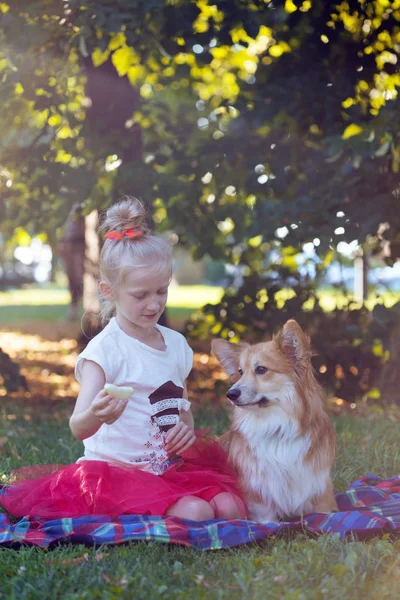 Meisje en hond — Stockfoto