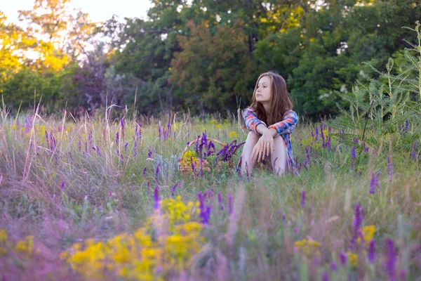 牧草地で美しい少女 — ストック写真