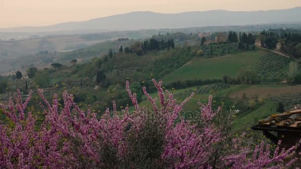 トスカーナ イタリア 2017 典型的なトスカーナの風景 美しい緑豊かな丘と 2017 — ストック動画