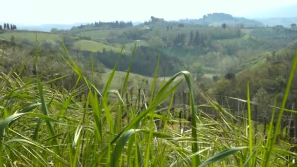 Toskania Włochy Kwietnia 2017 Typowy Toskański Krajobraz Pięknymi Zielonymi Wzgórzami — Wideo stockowe