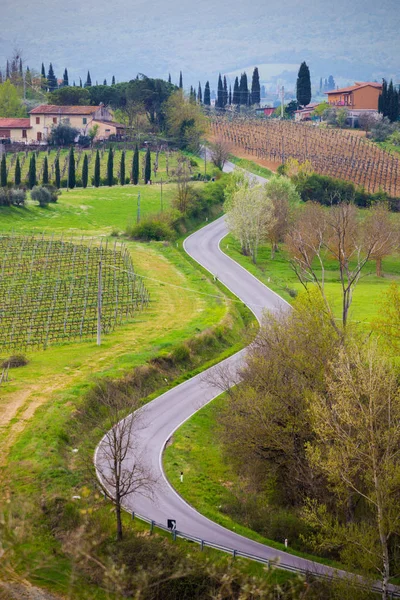 Strada vuota alla Toscana — Foto Stock
