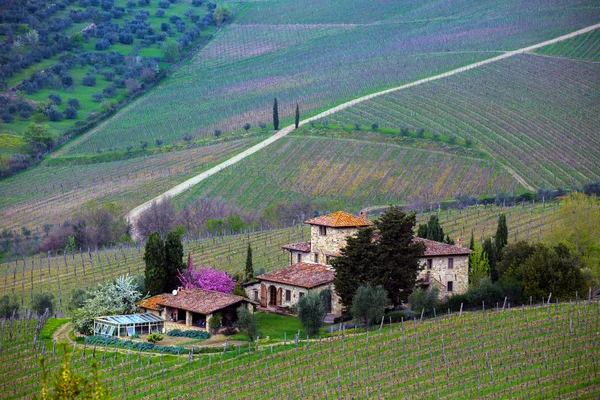 Tipico paesaggio toscano — Foto Stock