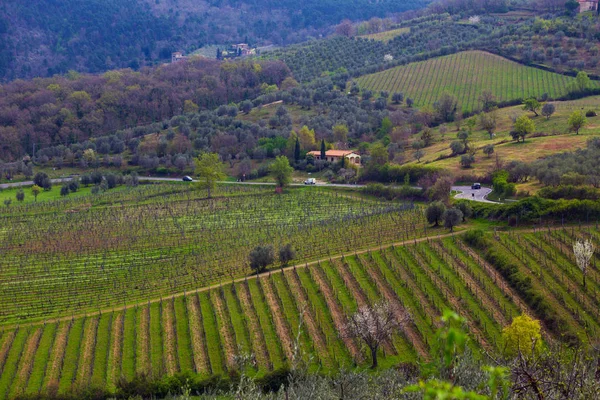 Paisagem típica toscana — Fotografia de Stock