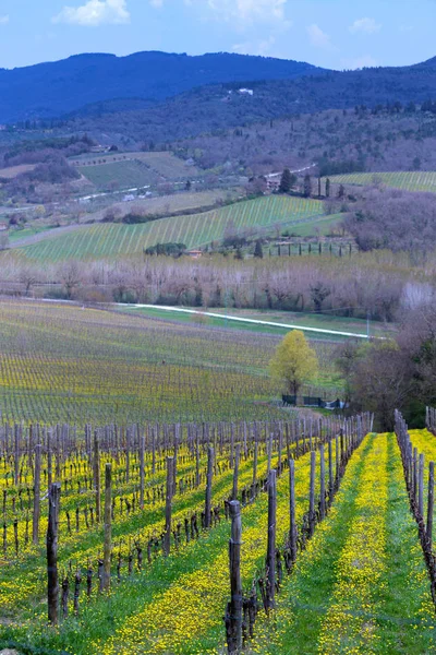 Typical Tuscan landscape — Stock Photo, Image