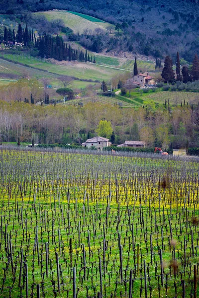 Paisagem típica toscana — Fotografia de Stock