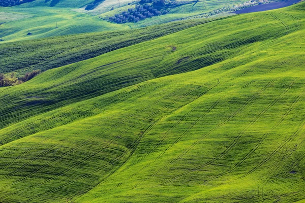 Paisagem típica da Toscana - ondas verdes — Fotografia de Stock