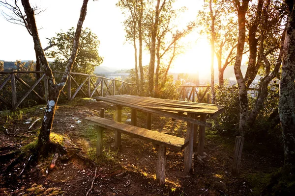 Posto per rilassarsi nel bosco — Foto Stock