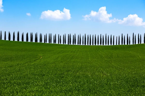 Typical Tuscan landscape — Stock Photo, Image