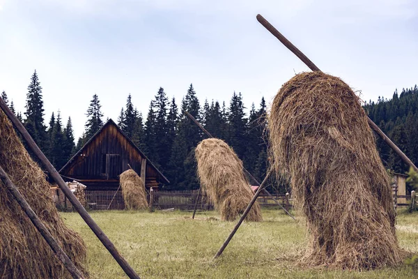 Стог сена в украинском селе Карпаты — стоковое фото