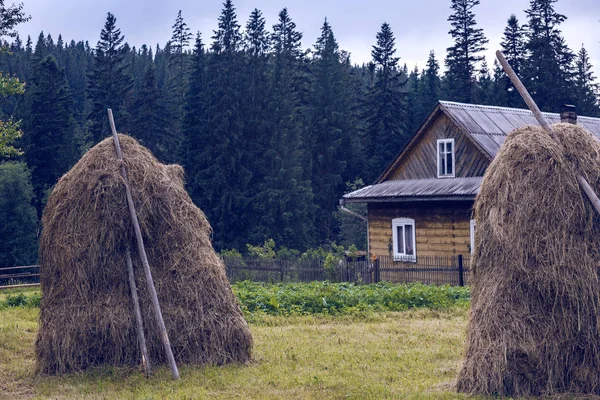 Meule de foin dans le village des Carpates ukrainiennes — Photo
