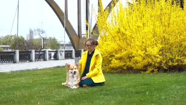 Chica Con Galés Corgi Perro Sentado Césped — Vídeo de stock