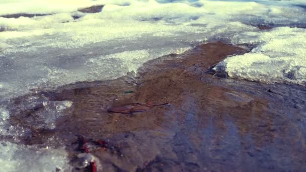 水たまりと溶けた氷と雪の晴れた春の日で — ストック動画