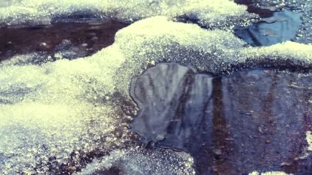 Flaques Eau Glace Fondue Neige Printemps Ensoleillé — Video