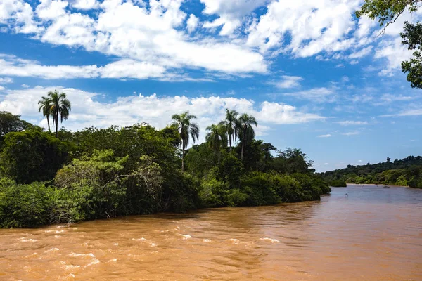 Paisagem tropical brasileira — Fotografia de Stock